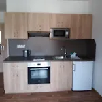 Apartament Na Statku Racice (Usti nad Labem)